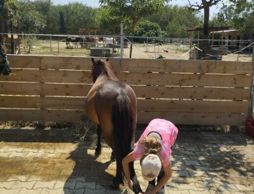 le pre en folie 3 spot-anniv66.fr Activités (Listing)