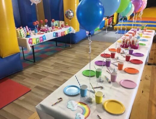 nins parc jeux gonflables ceret 4 spot-anniv66.fr Activités (Listing)